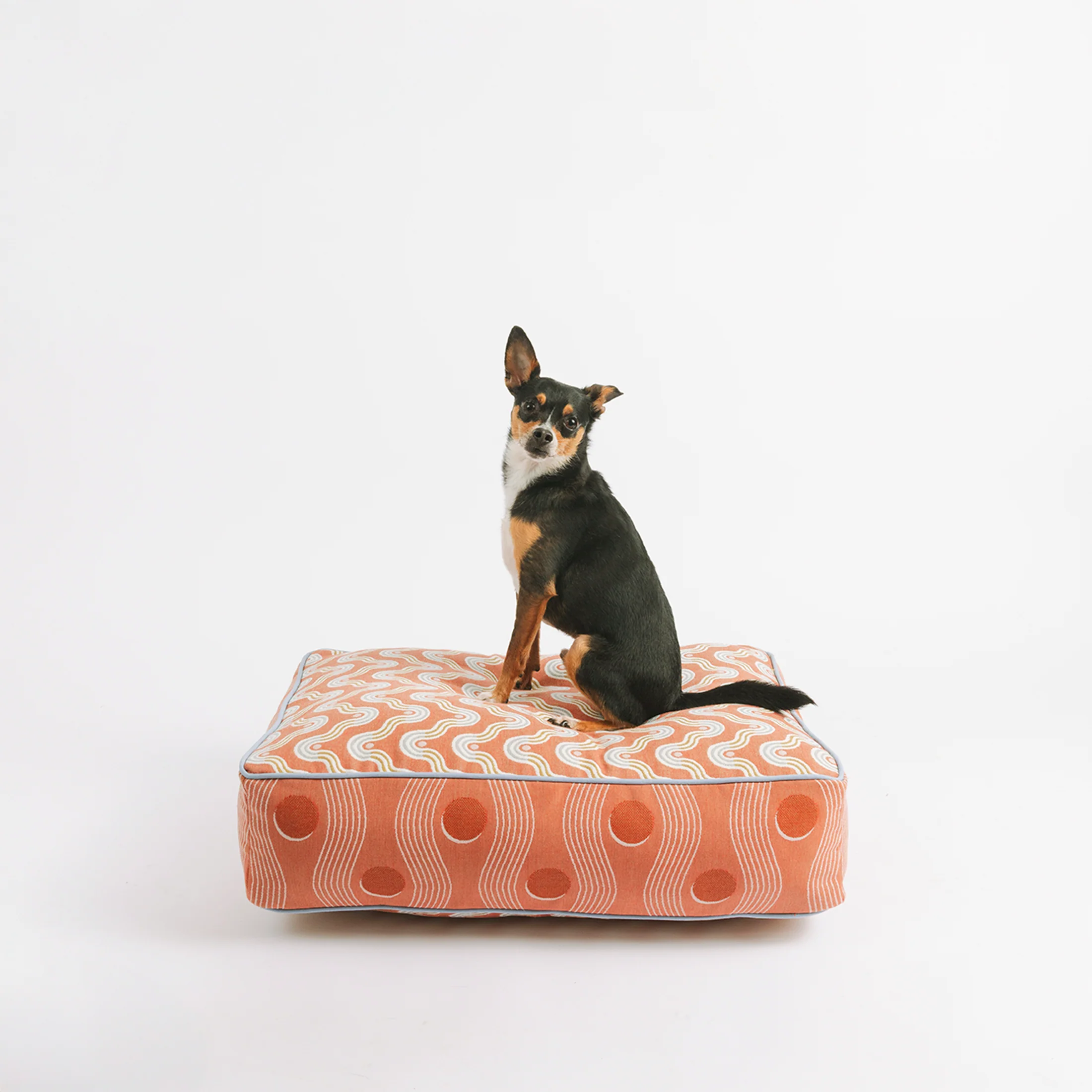 Clay Dog Bed - Image 6