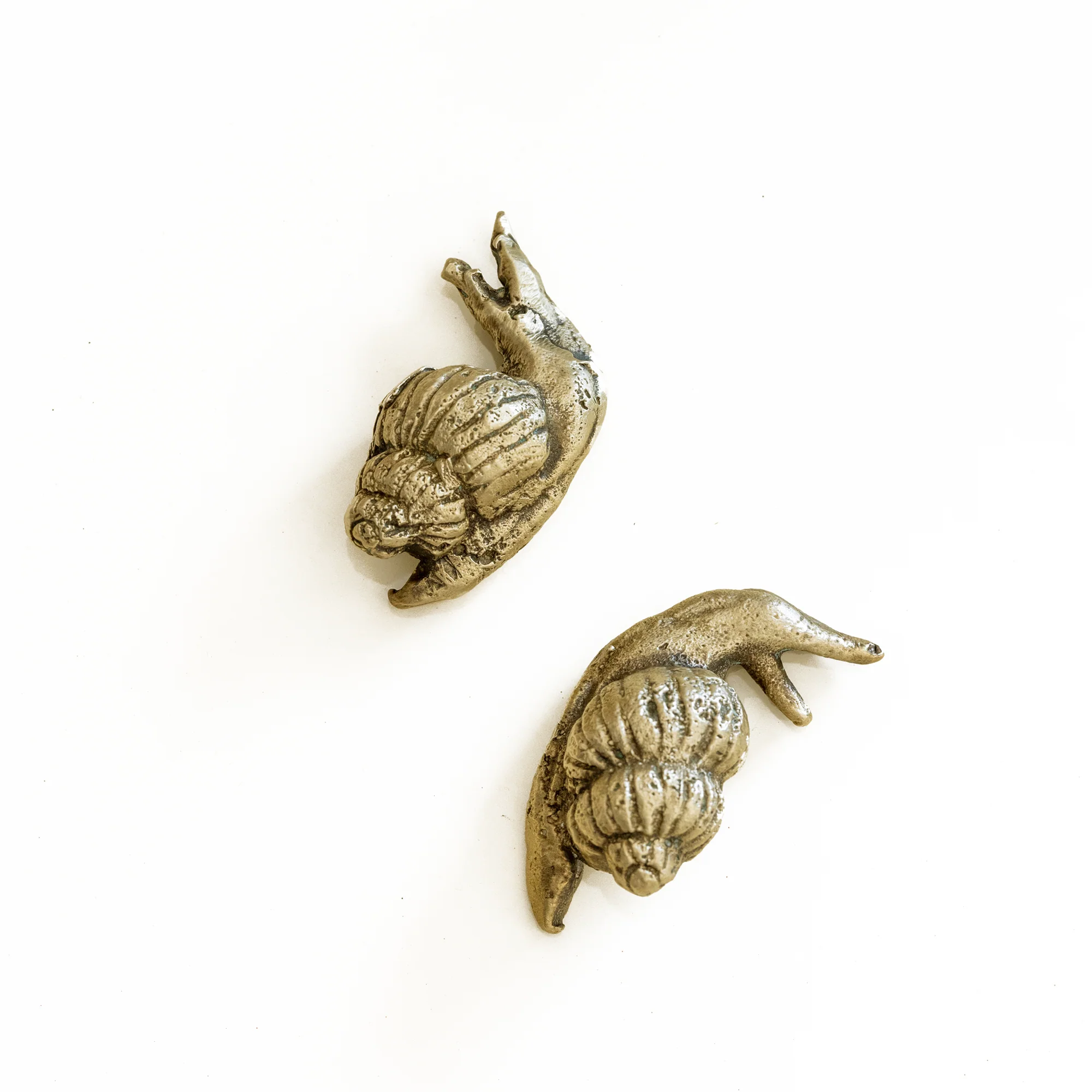 Snail (Right Facing) Knob - Image 4